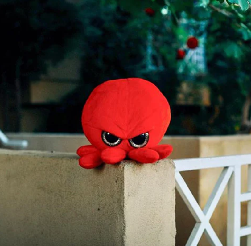 Meet the Grumpiest Baby Octopus